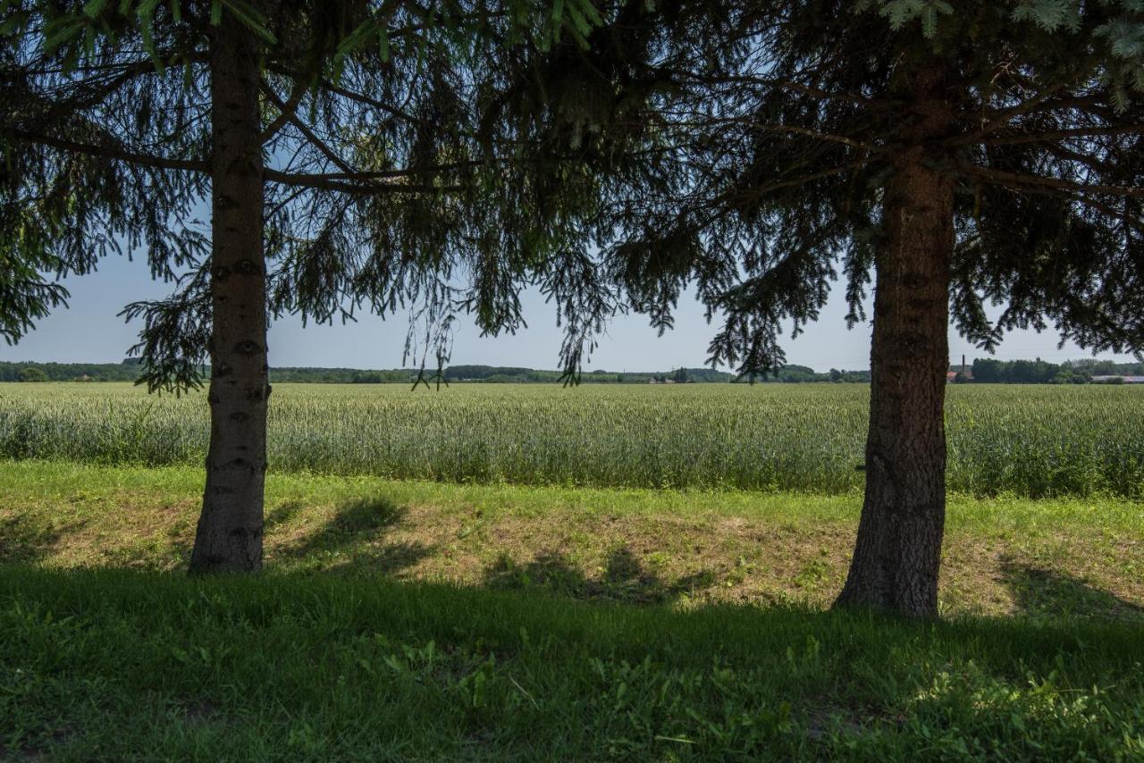 Posteleki Vendeghaz-Nyugalom Szigetei Villa Gyula Luaran gambar